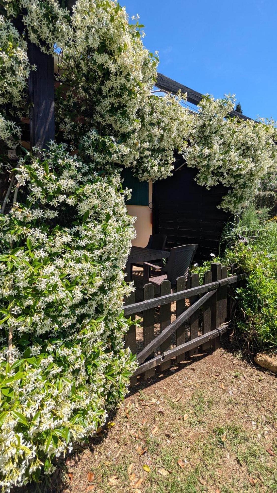 Podere Isabella San Vincenzo Eksteriør billede